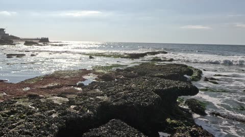 La Jolla North to South View #lajolla #views #pacific