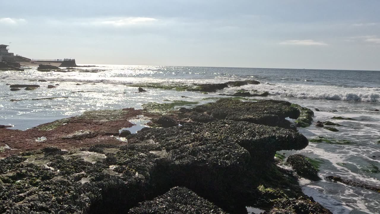 La Jolla North to South View #lajolla #views #pacific