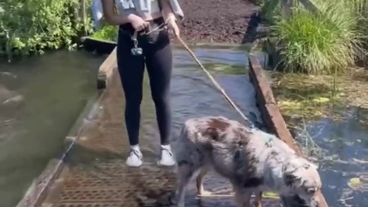 Here are some funny clips you can't miss!🤣