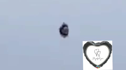 🛸🌳 About the 'Metapod' UFO Filmed in Garden Ridge, Texas | TheTruthAbove