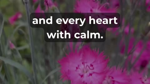 Start Your Sunday With This Powerful Prayer!