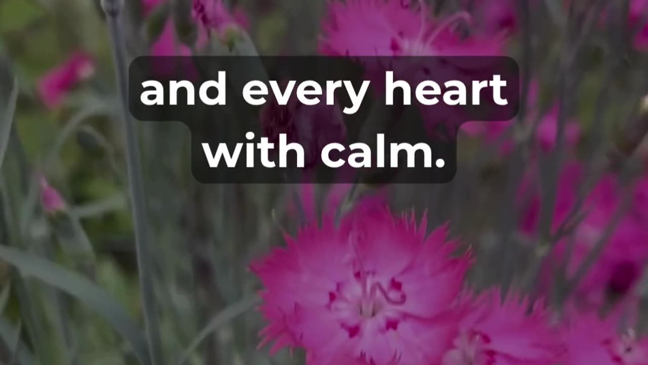 Start Your Sunday With This Powerful Prayer!