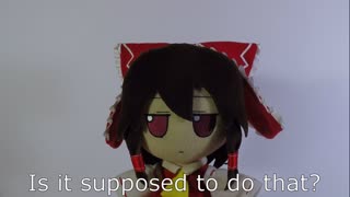 A ball cat of many talents