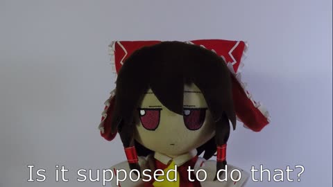 A ball cat of many talents