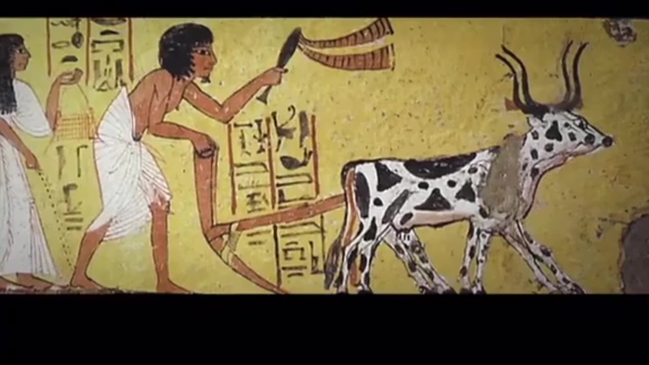 ⚠️⚠️⚠️ WARNING Graphic! The word, 'holocaust,' and what it originally referred to.