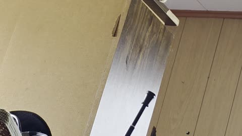 Sir Pineapple has THE HIGH GROUND!!