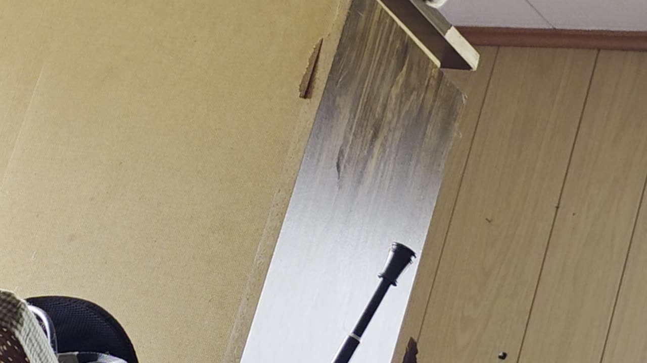 Sir Pineapple has THE HIGH GROUND!!