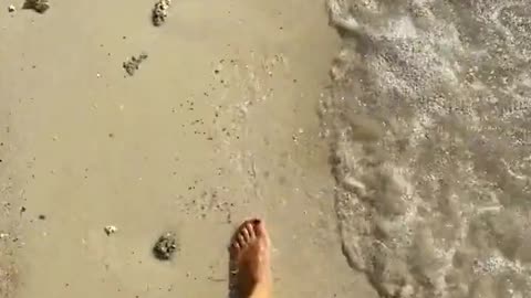 Daily Horoscope | Cancer 🌟