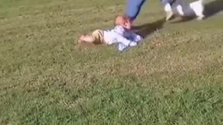 CLEVER DOG CARELESS PARENTS