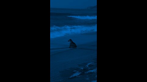 Relaxing music