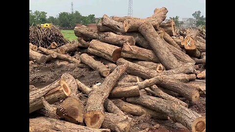 Wood hand crafting process