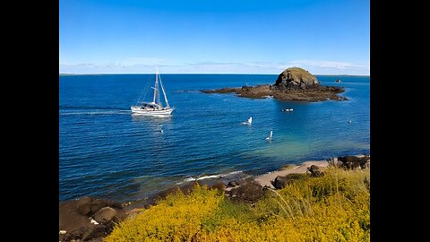 Ep 116 Pilgrims without Border