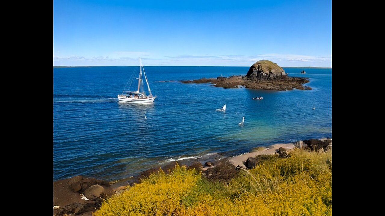 Ep 116 Pilgrims without Border