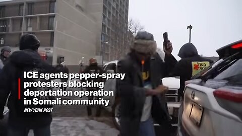 Ice Agents Pepper-Spray Protesters Blocking Deportation Operation in Somali Community