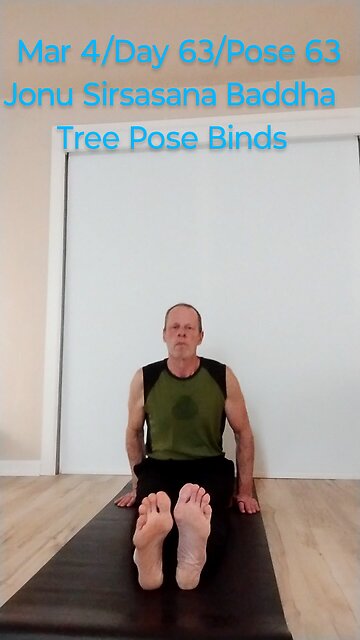 Jonu Sirsasana Baddha / Tree Pose Bind