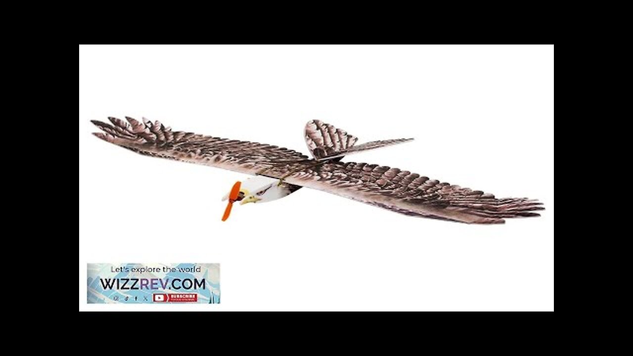 Dancing Wings Hobby DW E19 Eagle V2 1430mm Wingspan EPP DIY RC Review