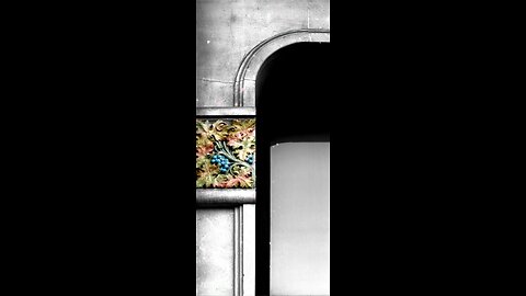 Uvas azules atrapadas