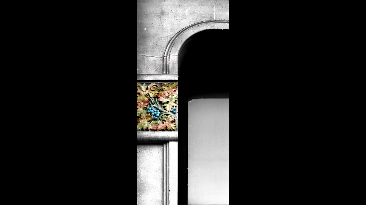 Uvas azules atrapadas