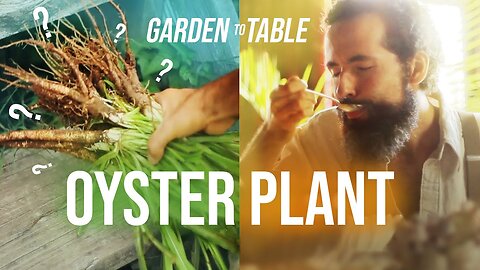 Oyster Plant Superfood You’ve Never Heard Of! 🔥 #Salsify #OysterPlant