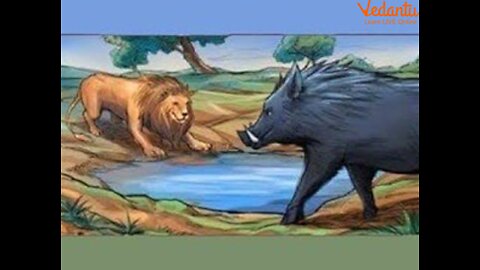 ‎🔥 ‎ ‎“Power Clash! Pig Strikes Lion in the Water 😱💥 | Unbelievable Moment!”