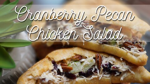 Cranberry Pecan Chicken Salad | Quick & Satisfying Recipe