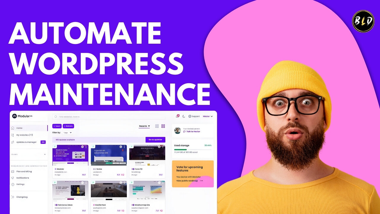 Effortlessly Handle Updates for Multiple WordPress Sites | Modular DS Lifetime Deal
