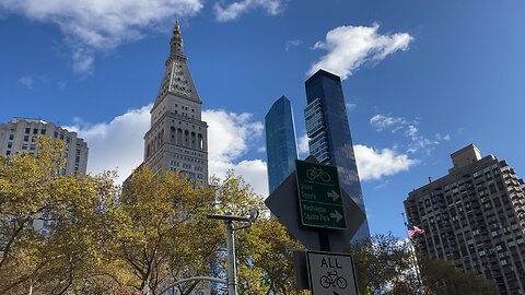 Autumn Foliage @ Madison Square Park (Manhattan)