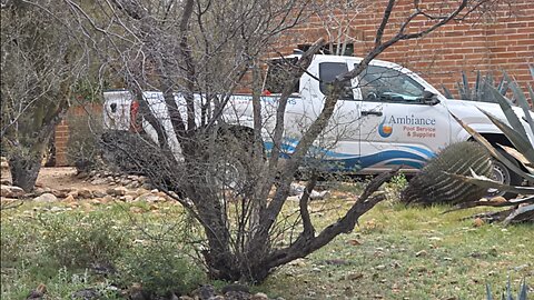 🔴LIVE: DAY 13 - TMZ RECEIVES 3RD EMAIL DEMANDING BITCOIN | #NancyGuthrie #Live #Chat #News