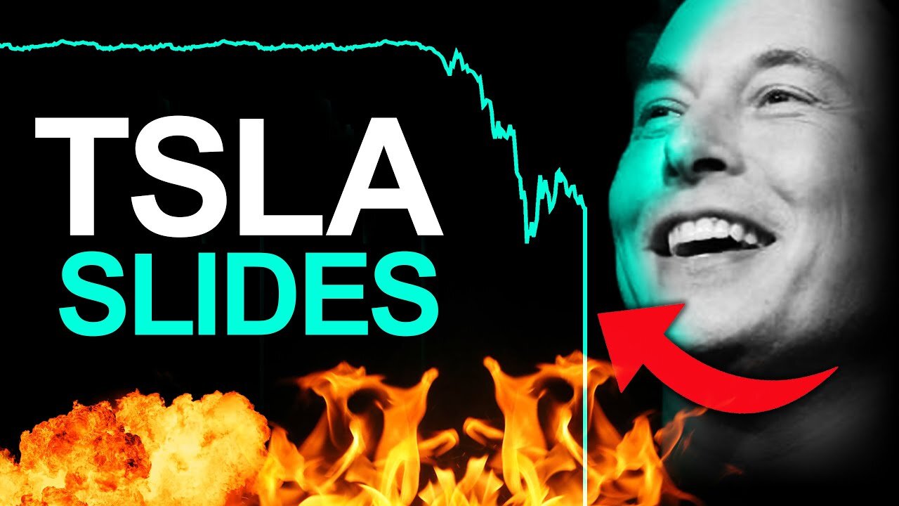 Tesla Stock Getting Pounded, Elon TROLLS Legacy Media Hard