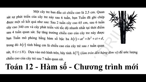 Một cây tre ban đầu có chiều cao là 2,5 cm. Quan sát sự phát triển của cây tre này sau 6 tuần