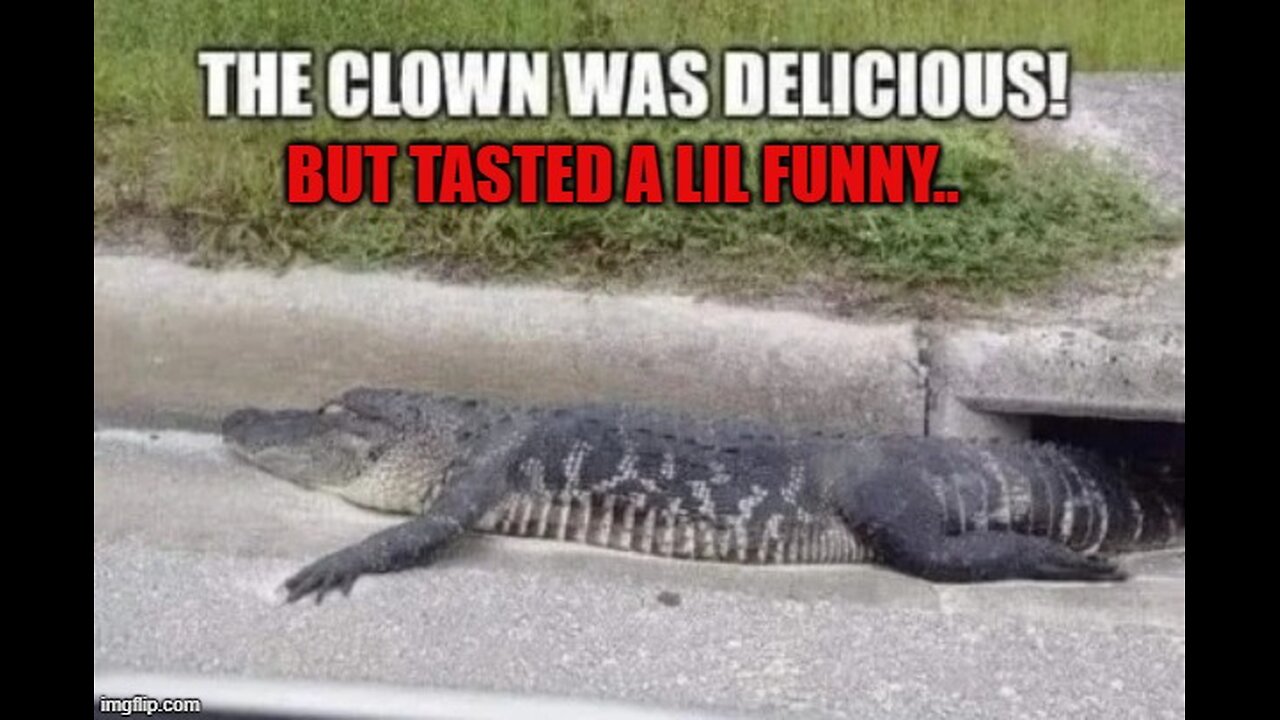 White Hats Secure Deal to Control Alligator Alcatraz + ELECTIONS ARE COMING DOWN