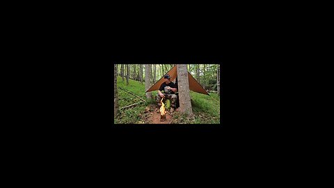 hammock camping in the woods
