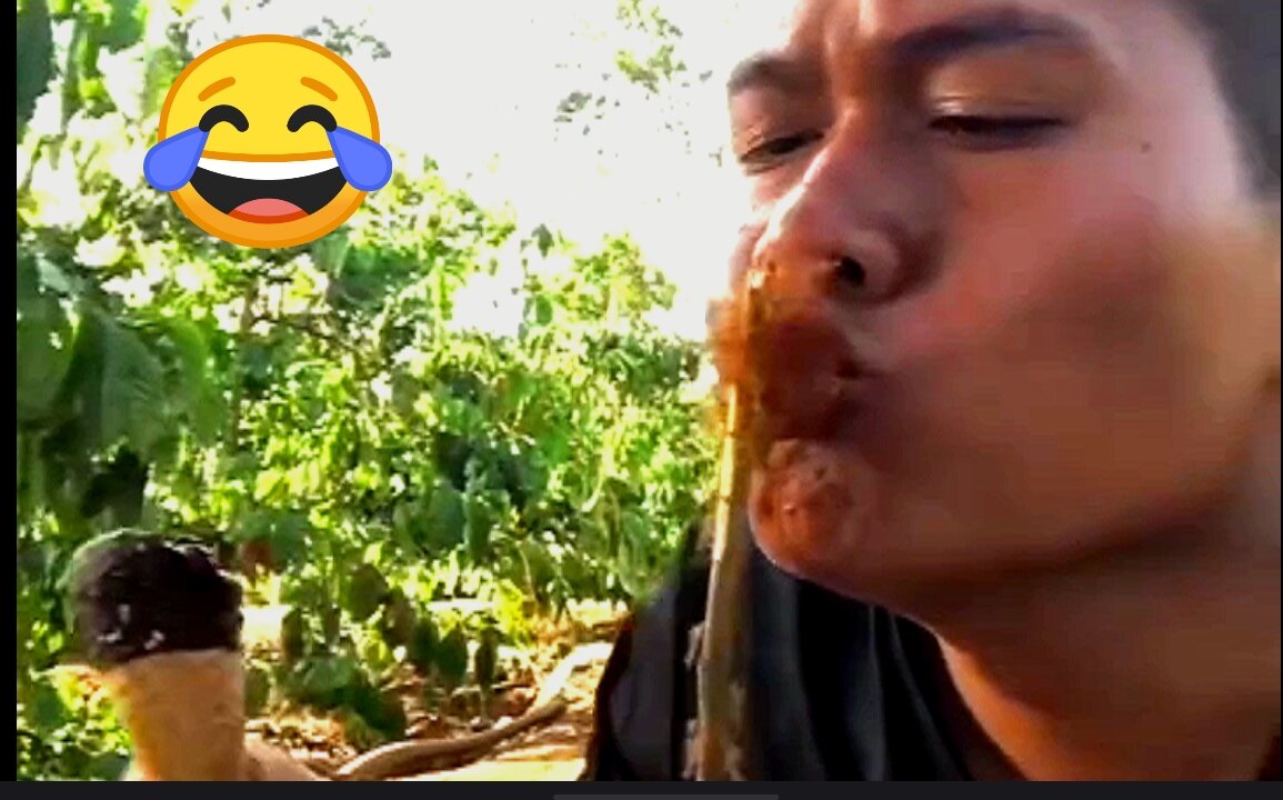 Funny People Fails 😂 | When Life Gives You Bloopers!