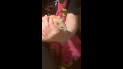 Wednesday and Enid Being Held And Free Roam