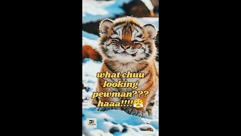 Funny animals part -2 must watch collection of cuteness in one video don't miss out🗿✌️😸😸🐱