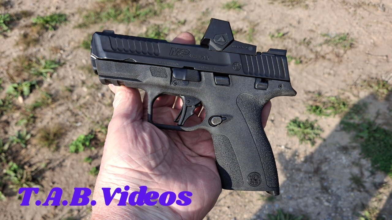 Swampfox Sentinel 2 Does it Work