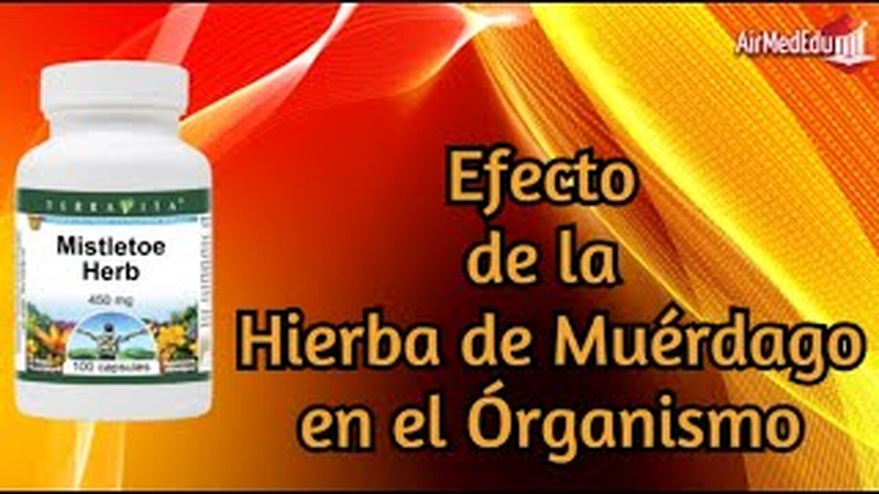 Efecto de la Hierba de Muérdago en el Órganismo
