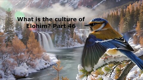 What is the culture of Elohim? Part 46