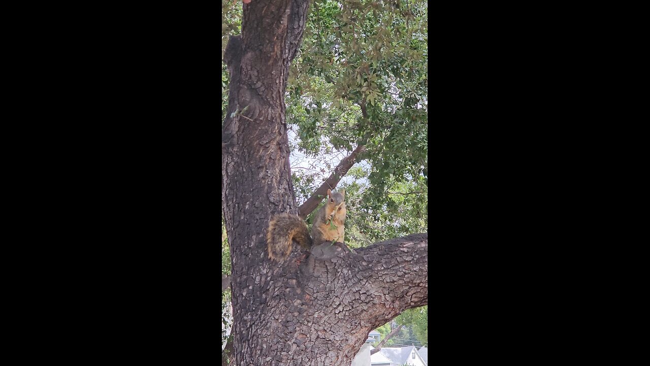 That's right 👍🏾 I'm brushing my teeth 🪥