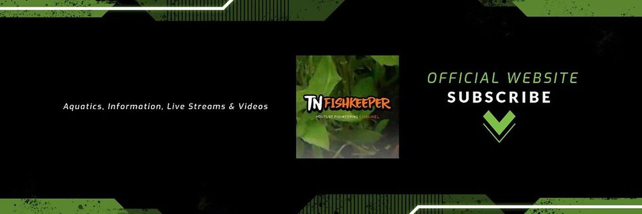 TNFISHKEEPER.COM™ 🐠 #INTRO