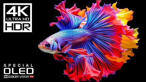 Amazing Underwater in 4K Videos | Dolby Vision HDR 4K 120FPS