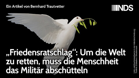 „Friedensratschlag“: Um die Welt zu retten, muss die Menschheit das Militär abschütteln. Trautvetter