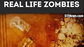 Outbreak - Real Life Zombies