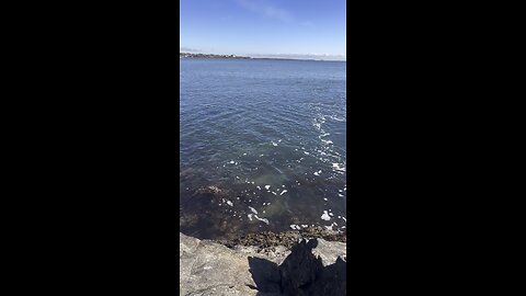 Newport Rhode Island Cliff Walk.