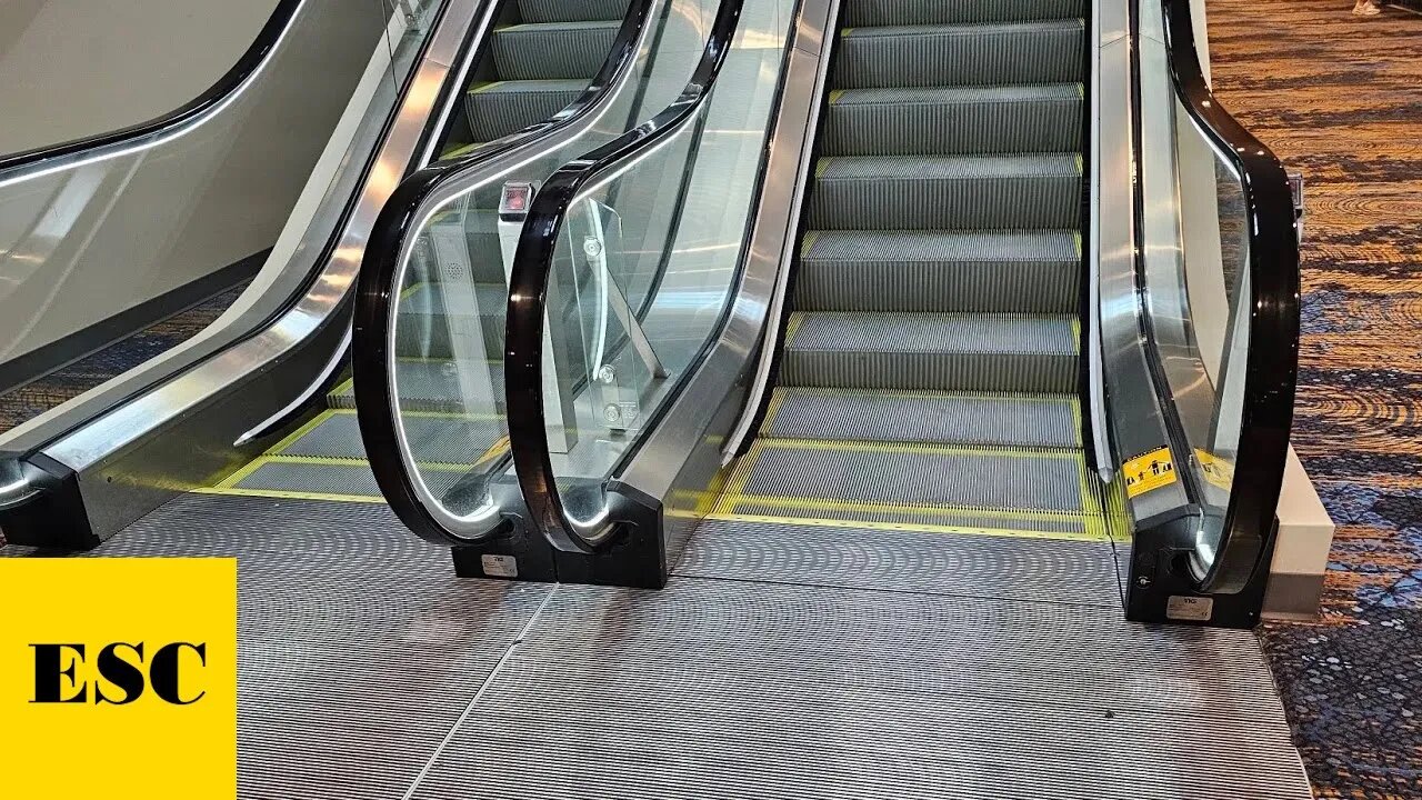 BRAND NEW 2024 Thyssenkrupp Velino Escalators - Hard Rock Casino Bristol (Bristol, VA)