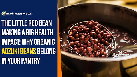 The little red bean making a big health impact: Why Organic Adzuki Beans belong in your pantry