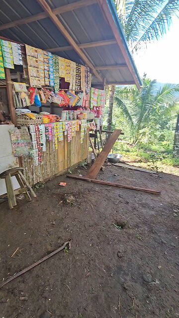 JB's Small House is FINISHED. 지비 집 다 끝났어요! #coloniadivina