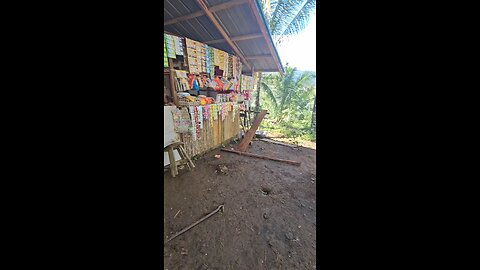 JB's Small House is FINISHED. 지비 집 다 끝났어요! #coloniadivina