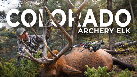 LAST DAY BULL DOWN!!! | Epic Colorado Archery Hunt