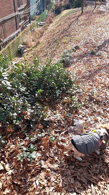 20251212. God with me.